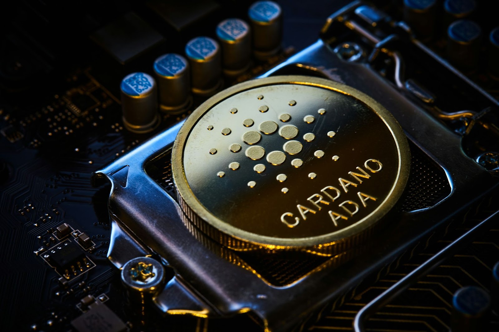 Cardano Volume: 8.3% Surge Sparks Investor Confidence